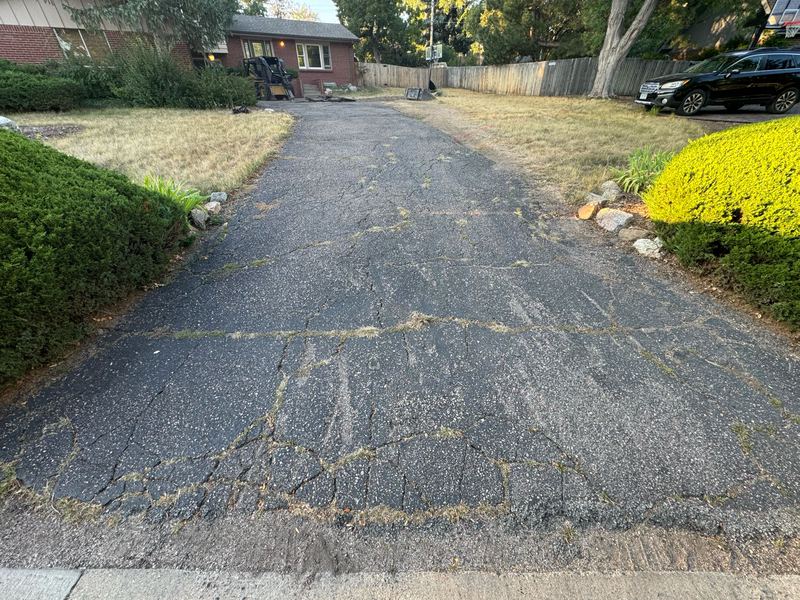 Failed driveway with heavy surface cracking, photographed before tear-out